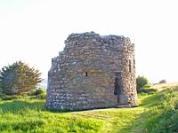 Irlande - Co Kerry - Killarney - Aghadoe - Parkavonear Castle (6)